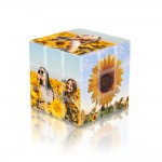 Rubik's Cube